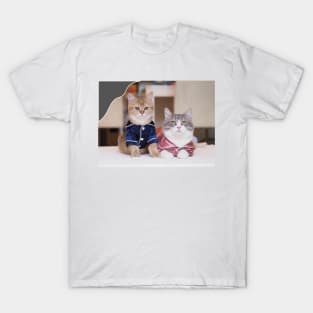 couple cute cats T-Shirt